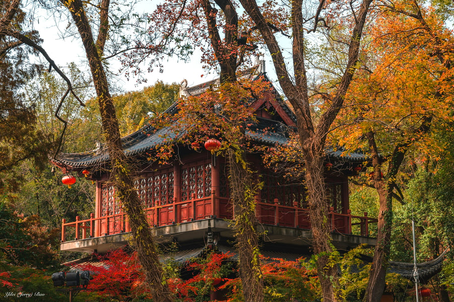 TKEG Expat Corporate Services - Nanjing Small-Scale Taxpayer Accounting