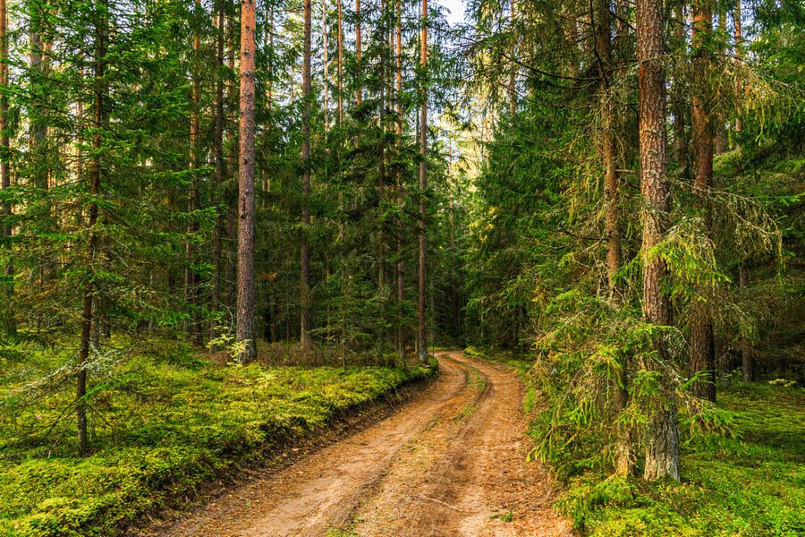 TKEG Expat Corporate Services - Open a local bank account in Lithuania