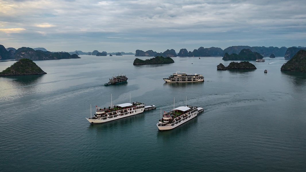 TKEG Expat Corporate Services - Vietnam Import and Export License