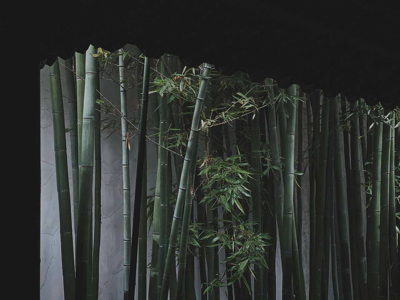 奕资环球企业服务 - 南京一般纳税人会计