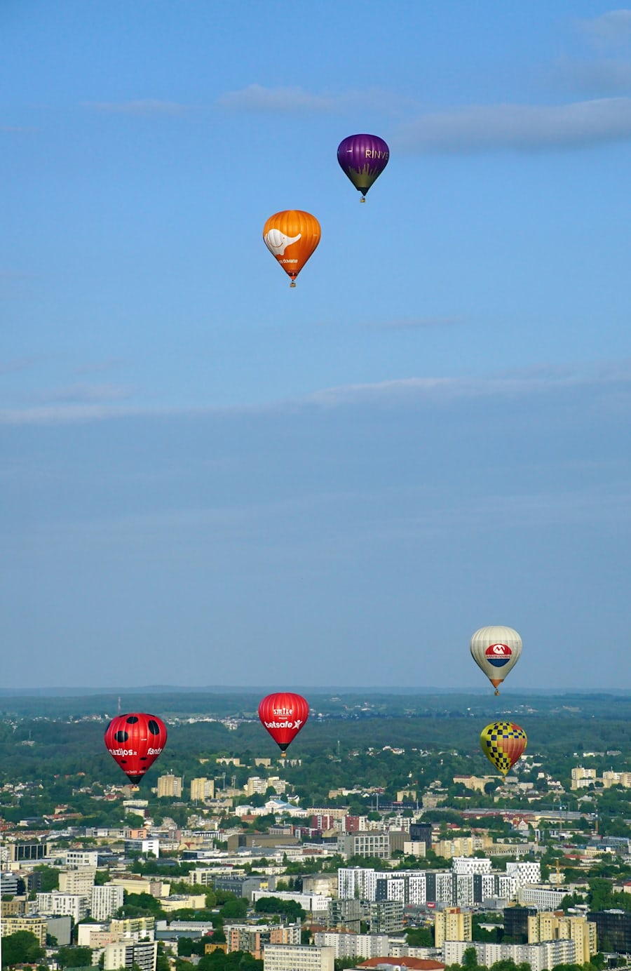 立陶宛房地产税（RET）