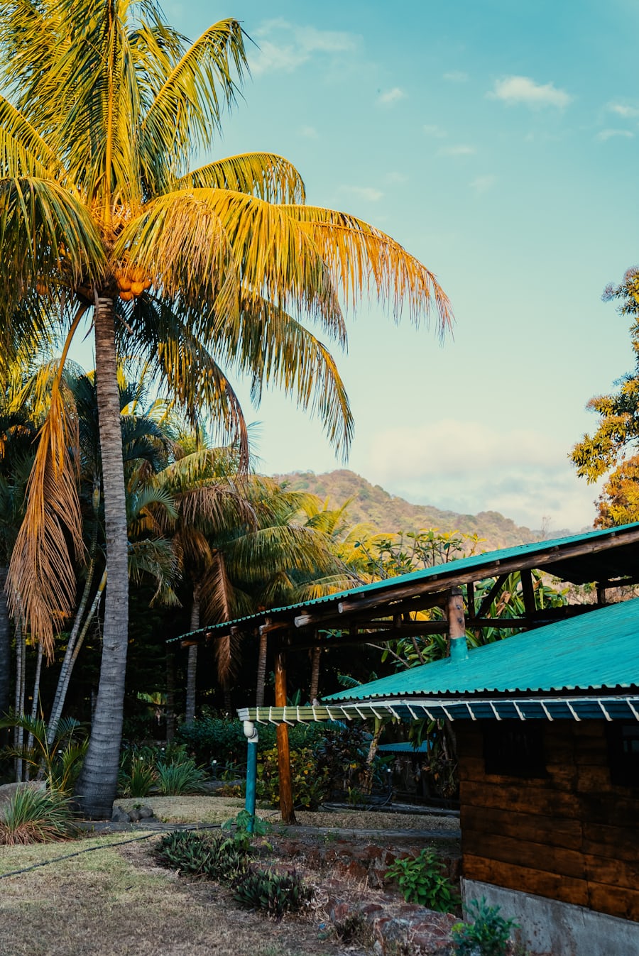 尼加拉瓜资本利得税（CGT）