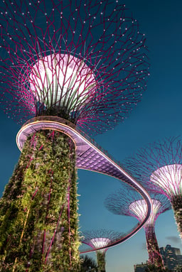 Singapore corporate income tax