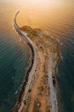 Estonia import and export duties