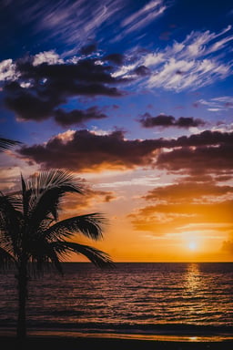 Puerto Rico Personal Income Tax (PIT)