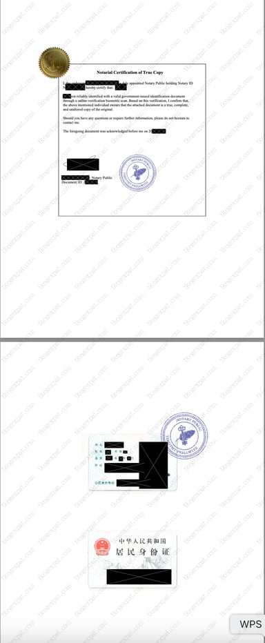 本案例交付的第 14 份文件