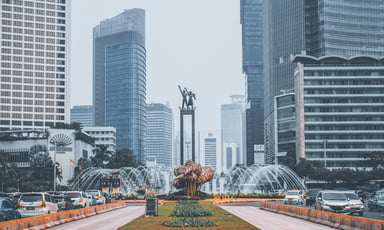 东南亚国家协会