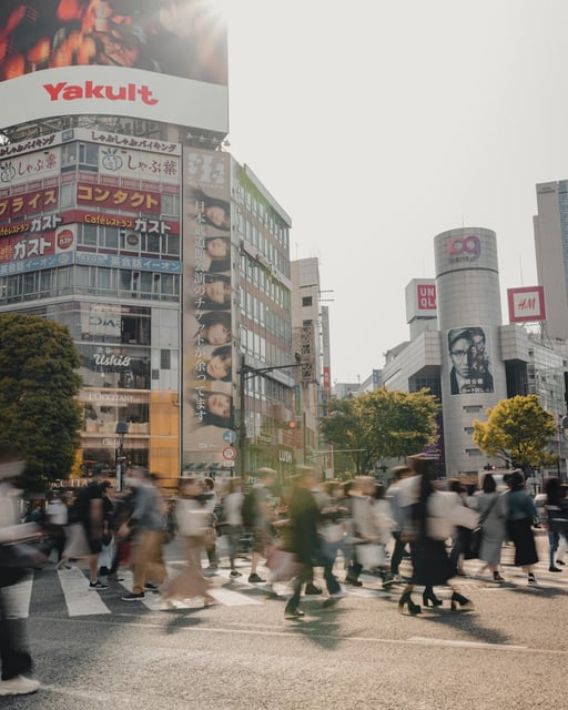 日本个人所得税（PIT）