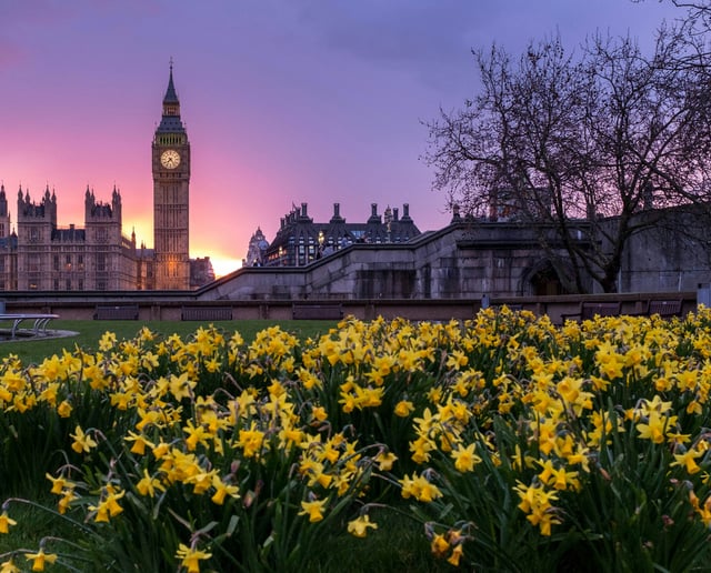Highly Competitive Visa Schemes