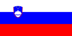 Slovenia Flag