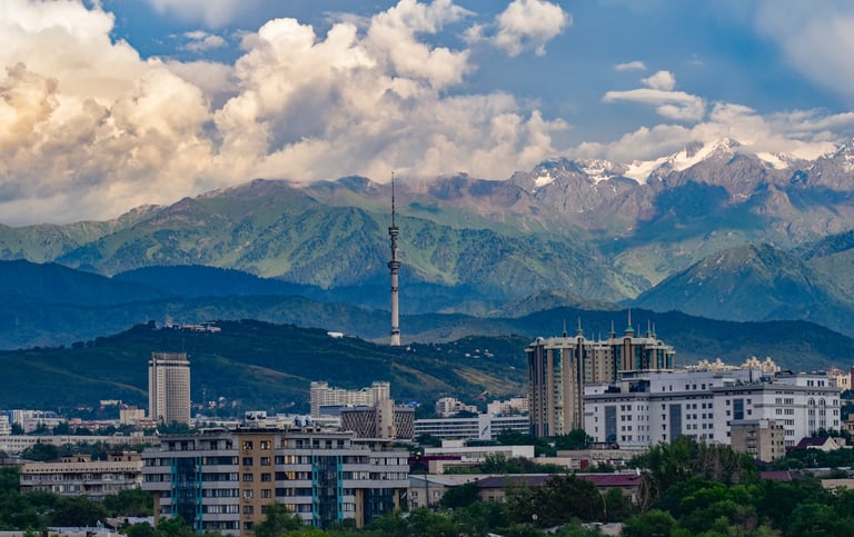 经济特区（SEZs）
