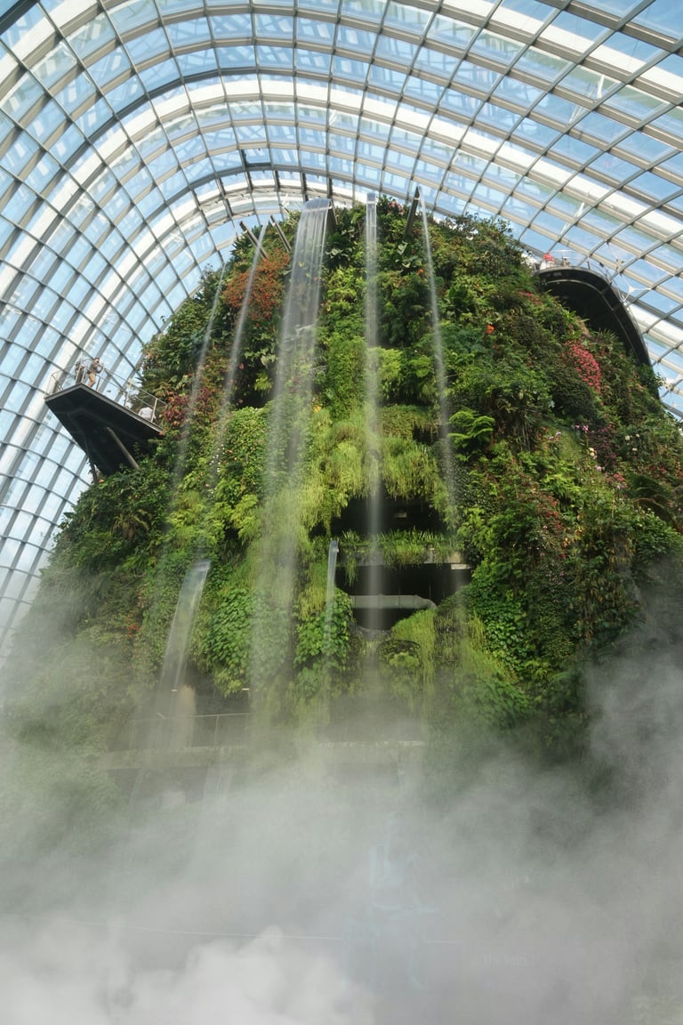 新公司看税率时容易忽略什么