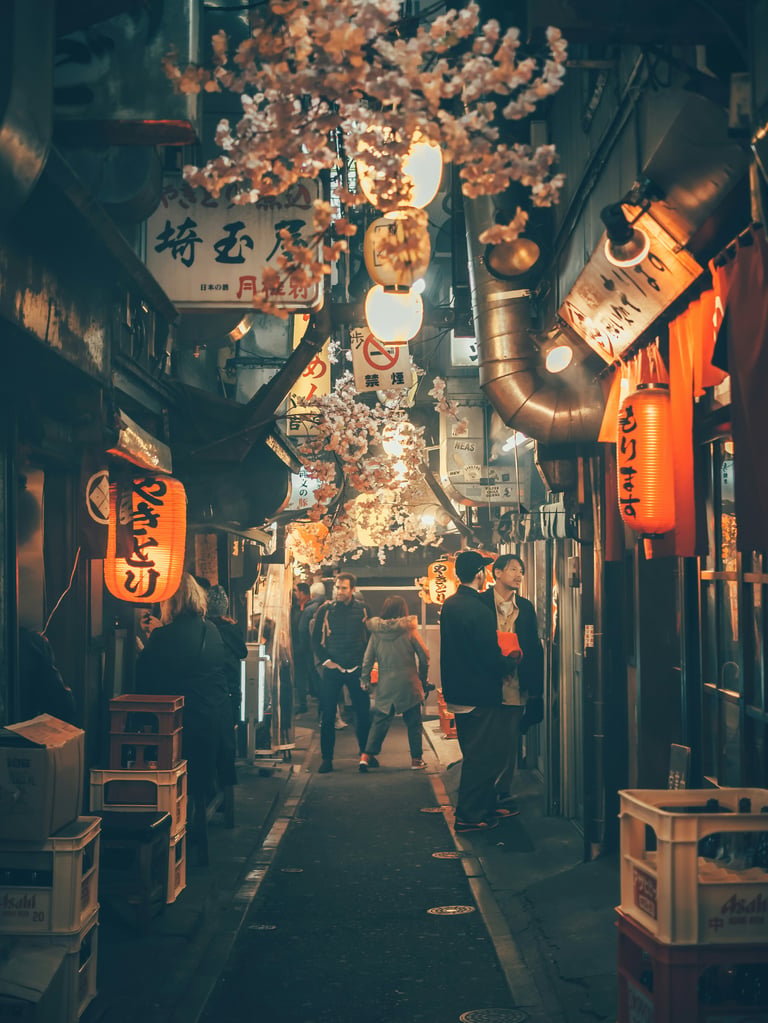 KK还是GK,以及从海外缴入资本金
