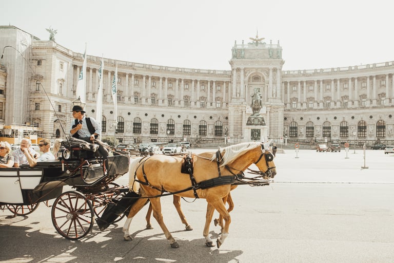 TKEG Expat can provide services in Austria