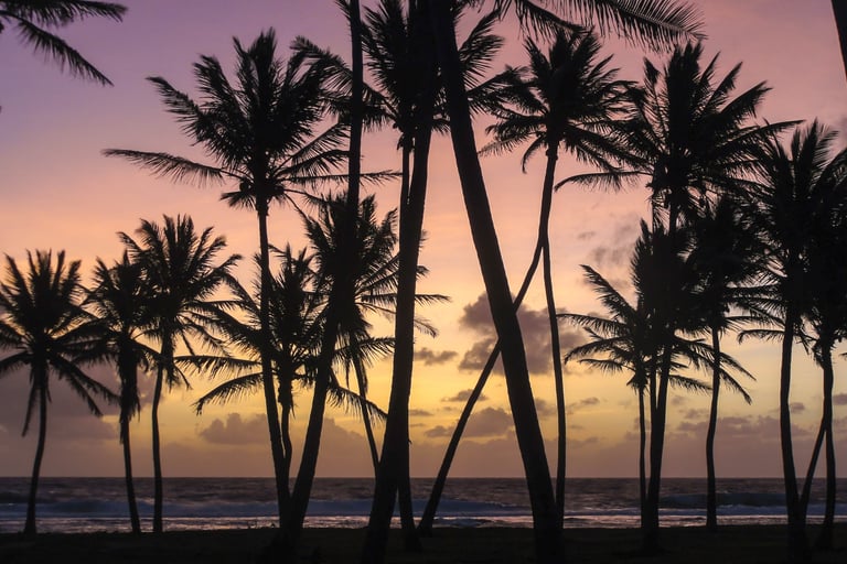 TKEG Expat can provide services in Marshall Islands