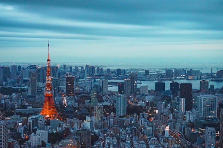 TKEG Expat can provide services in Japan